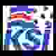 冰女联杯logo